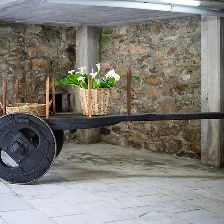 Antonio De Sofia Cuntis